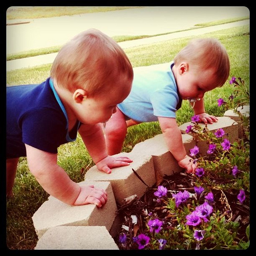Boys playing in the garden