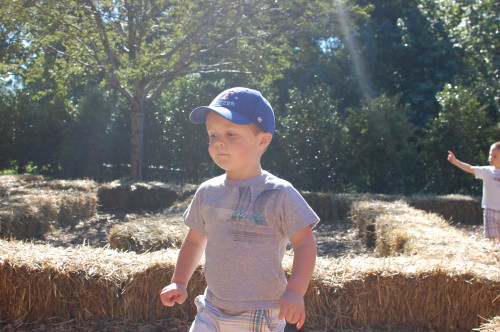Playing in the hay maze